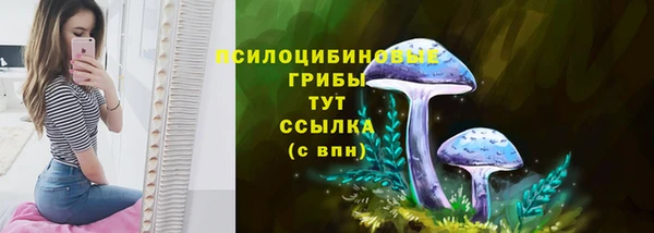 твердый Вязники