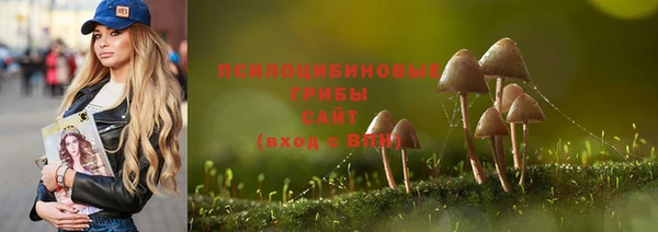 гашик Волосово