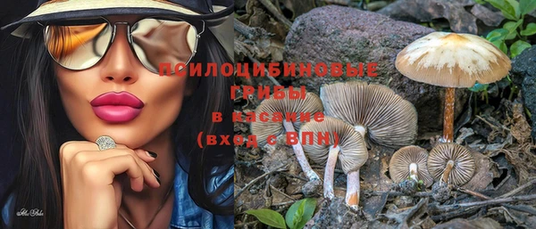 твердый Вязники