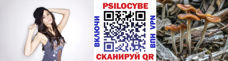 купить наркоту  Осташков  Галлюциногенные грибы мухоморы 