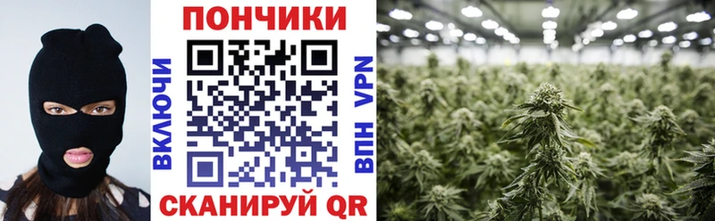 Бошки марихуана конопля  Осташков 